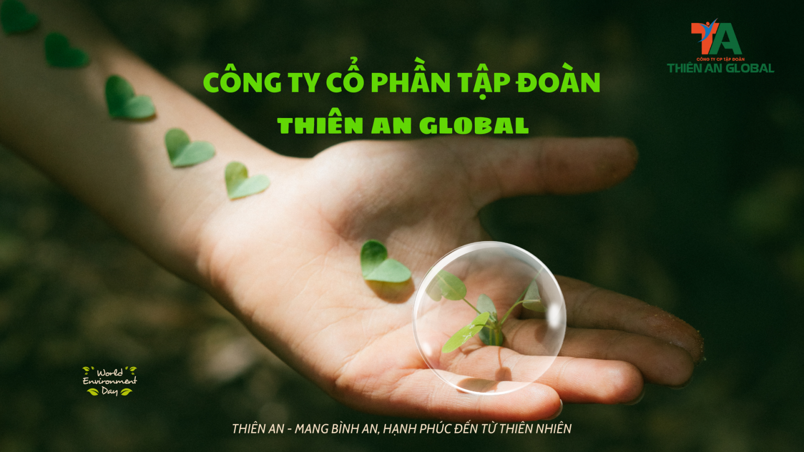 KHAI TRƯƠNG TỔNG PHÂN PHỐI THANH HÓA